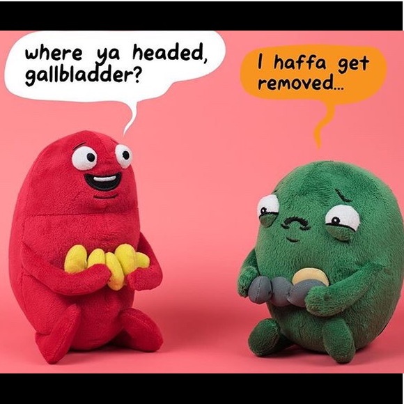 Meet your Posher, Annie - Picture 8 of 8